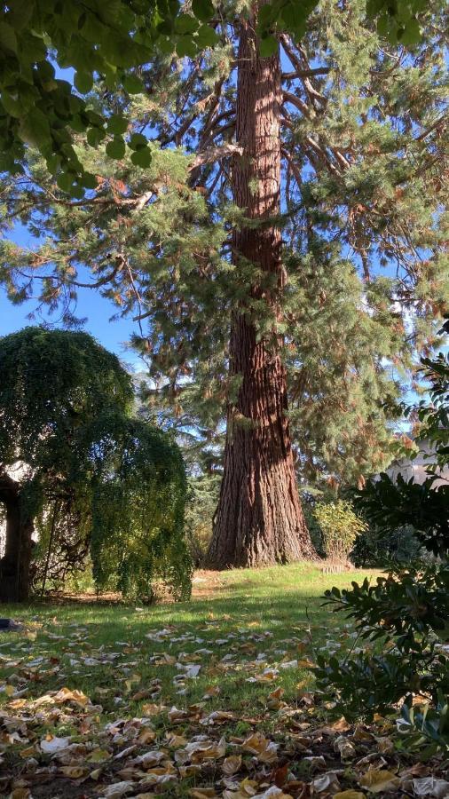 蒙卢索卢瓦尔Le Clos Du Roc住宿加早餐旅馆 外观 照片